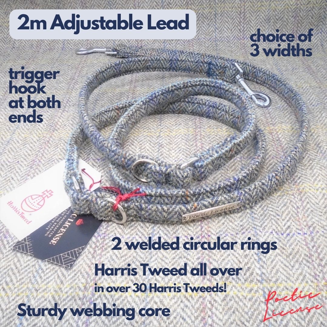Adjustable Lead, Crossbody Lead or Over the Shoulder Dog Leash. Harris Tweed.