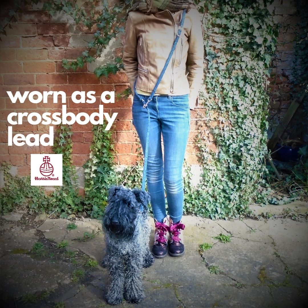 crossbody training lead harris tweed, adjustable dog leash luxury pet accessories