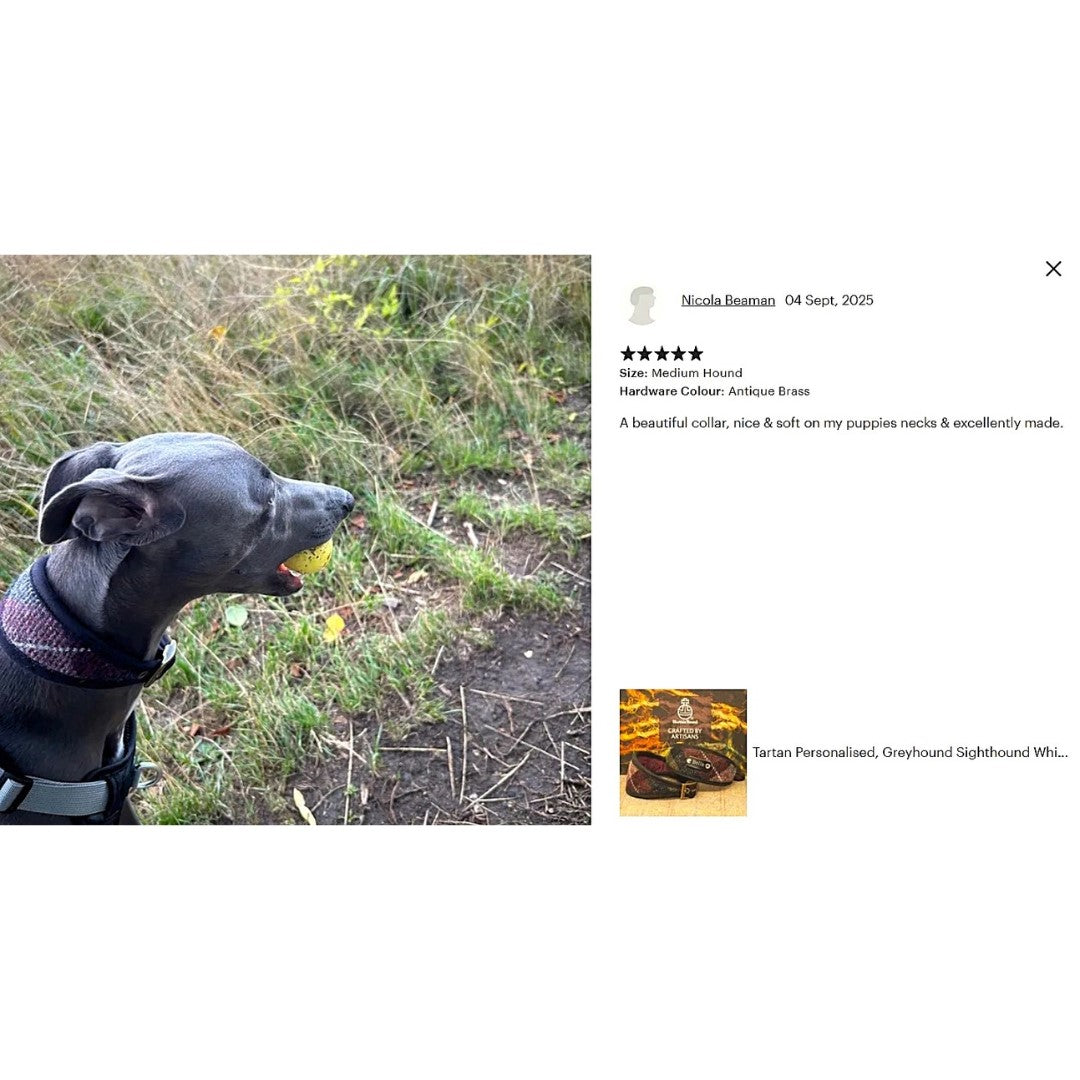 Custom Harris Tweed Tartan Plaid Dog Collar, optional name personalisation. Softly padded for sensitive necks. Either Sighthound width or slim fit.