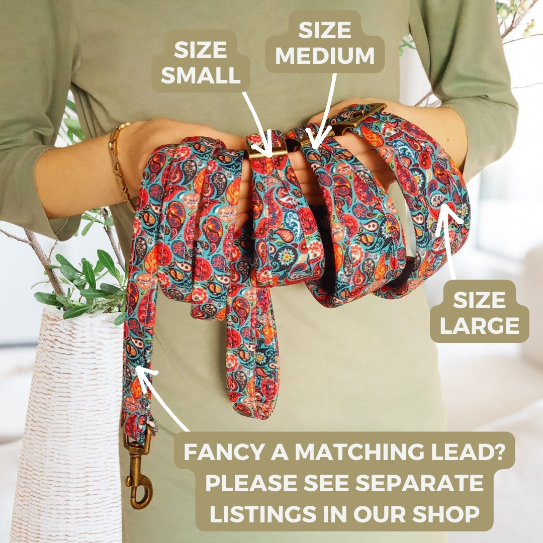 teal read blue paisley vegan dog collar and lead