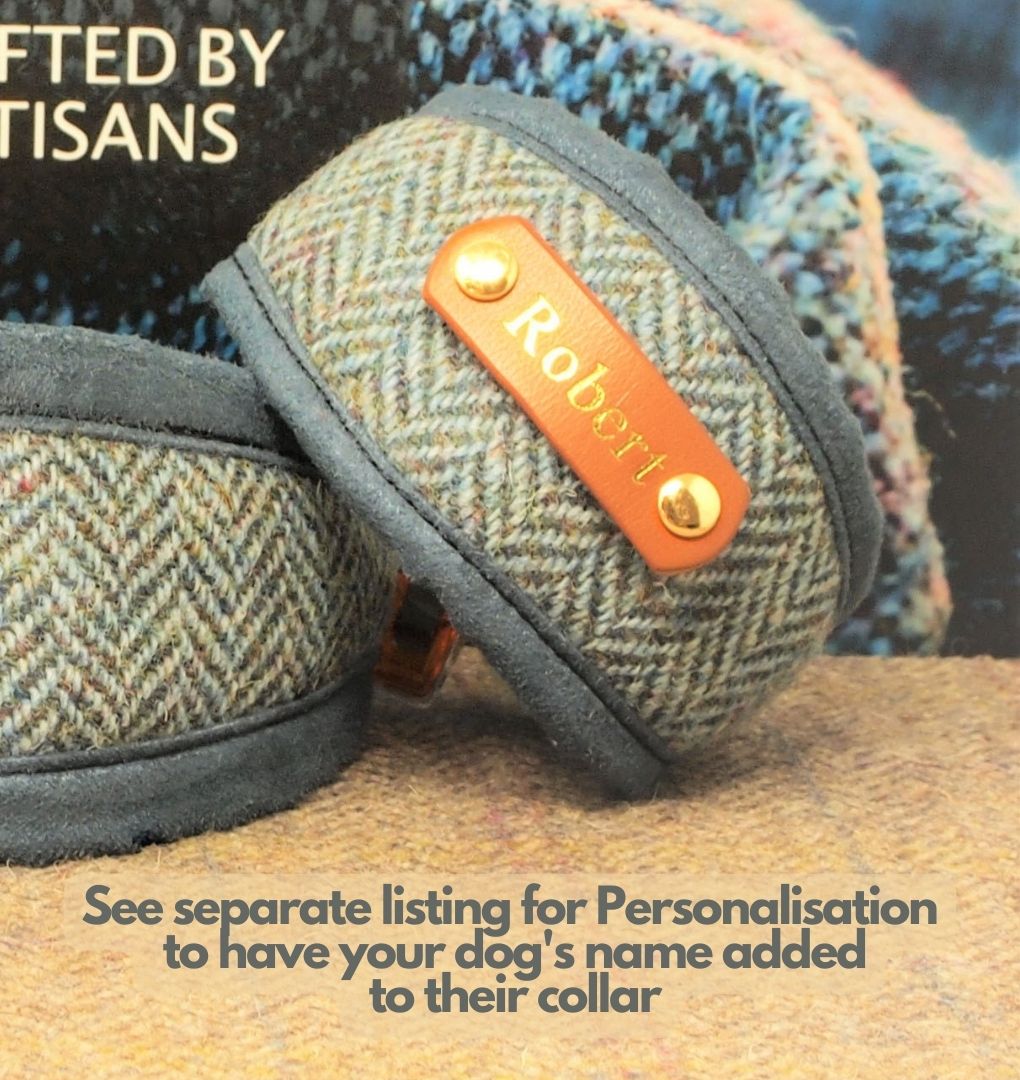 personalised blue herringbone harris tweed hound collar for whippets, greyhounds lurchers etc