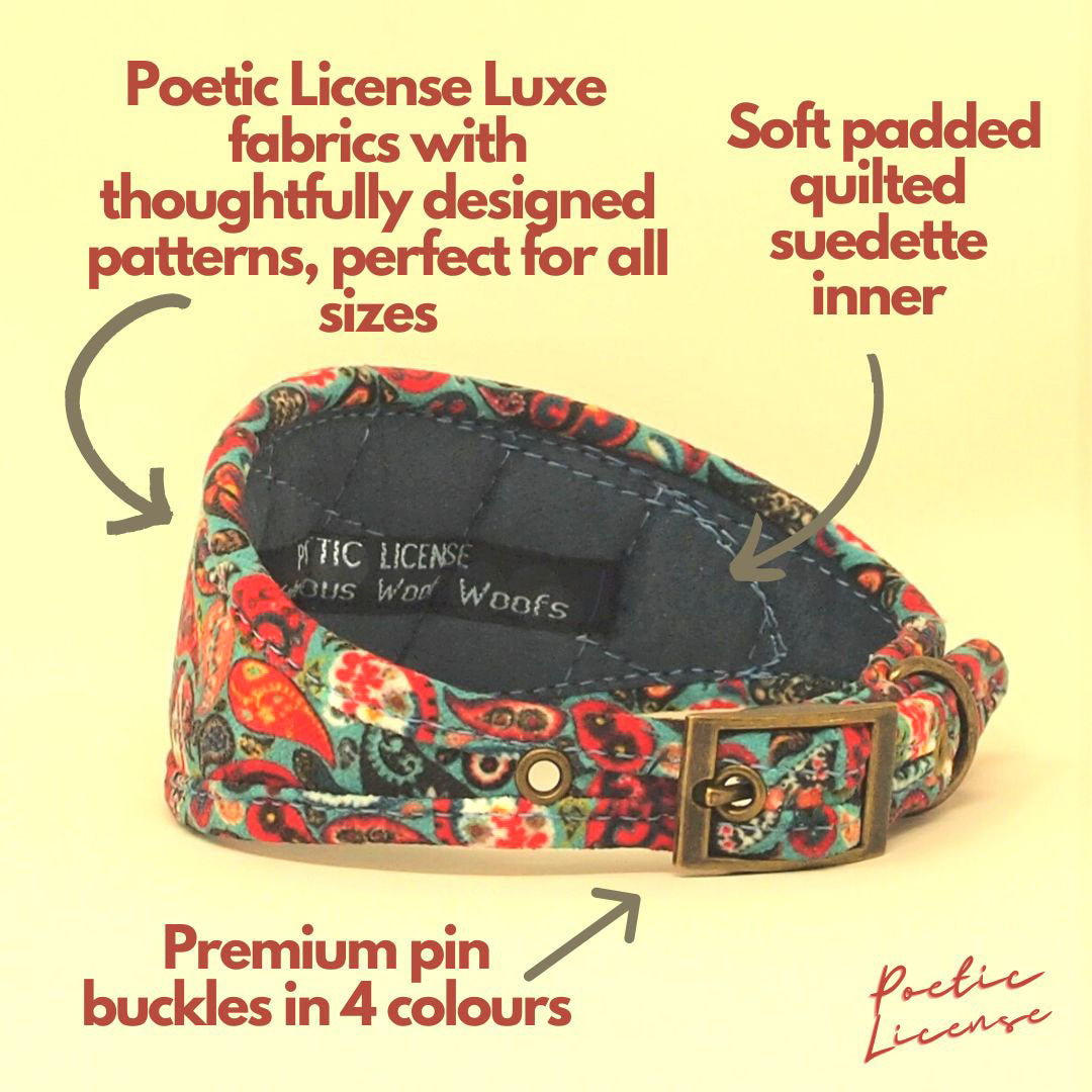 soft padded designer sighthound collar