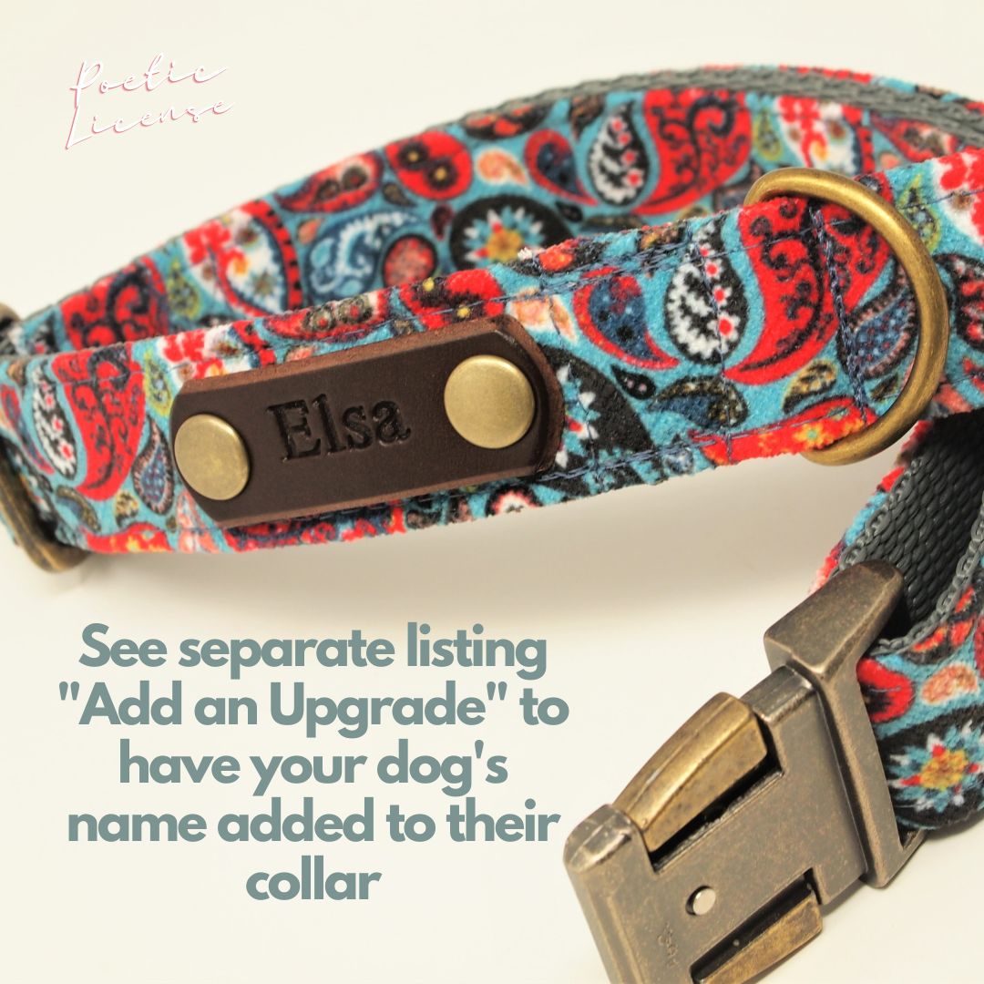 Luxe Chenille Standard Dog Collar in Teal Blue, Green & Red Paisley