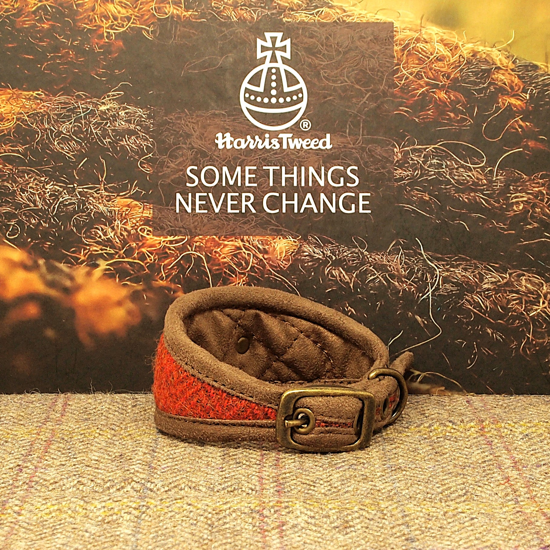 Burnt Orange Harris Tweed Dog Collar, Greyhound, Whippet. Can be personalised with name on the collar