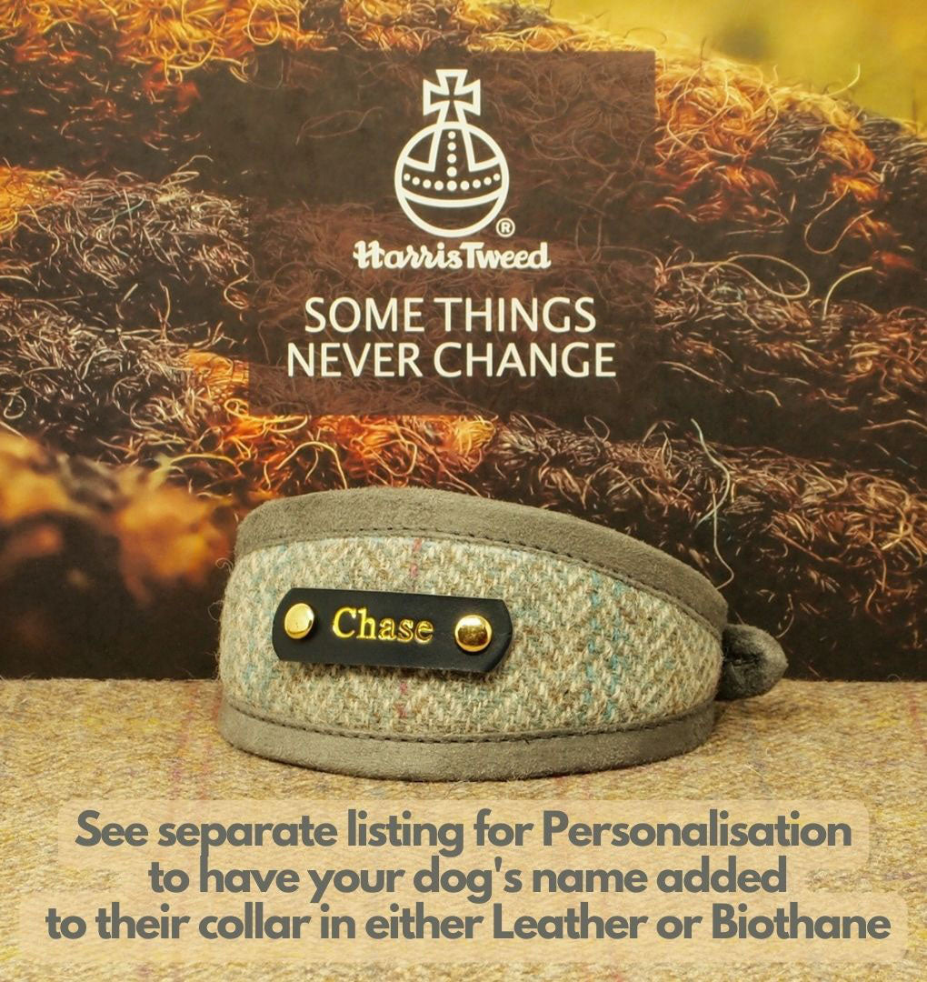 personalised grey sighthound harris tweed collar with dogs name on