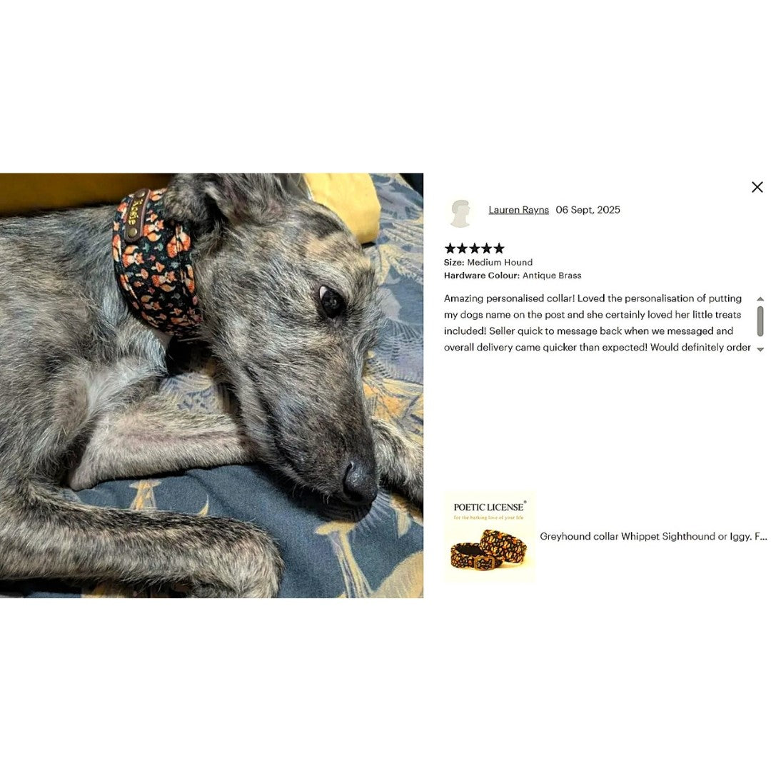 wolfhound deerhound in fox themed soft padded sighthound collar with dogs name on