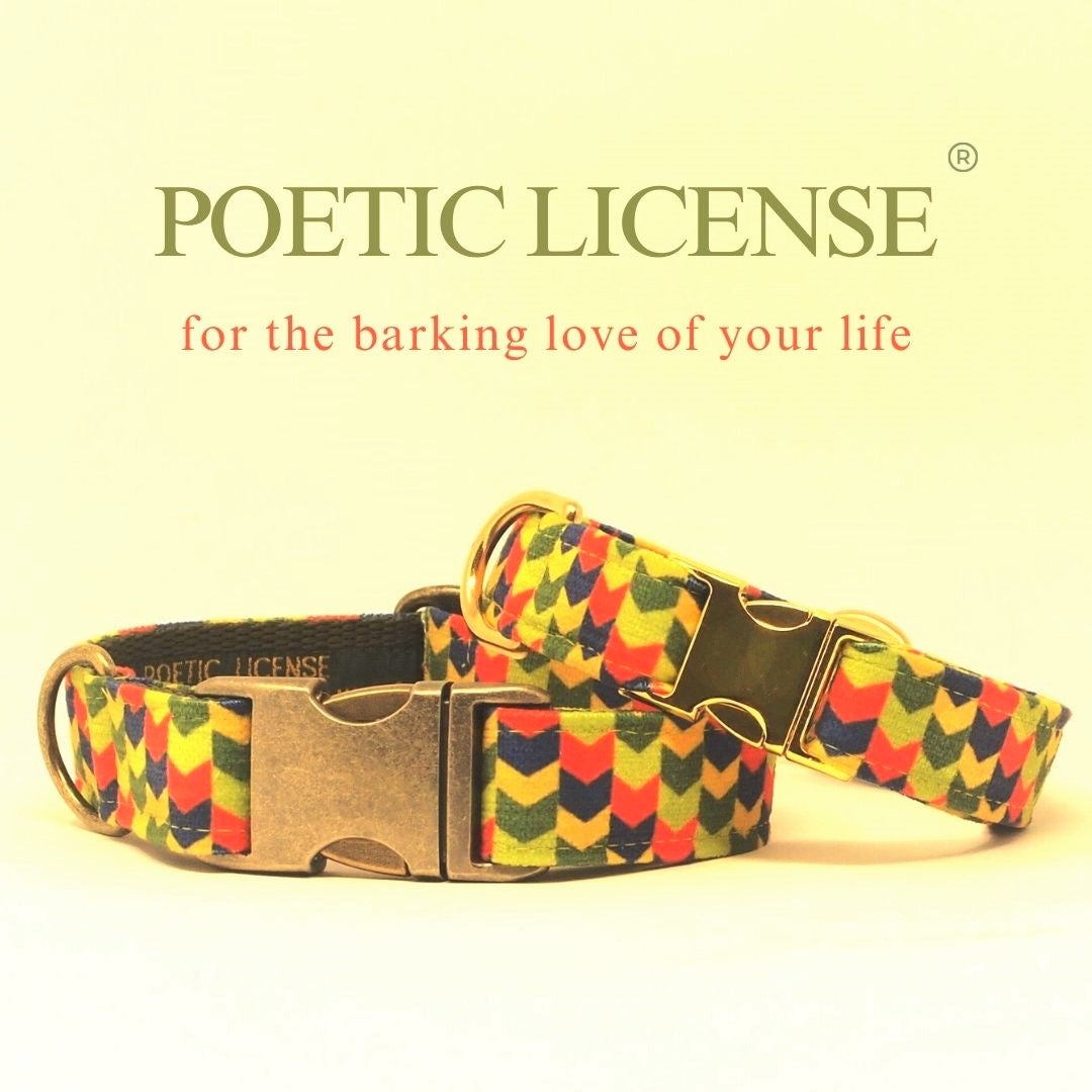 Luxe Chenille Standard Dog Collar in Green Geometric