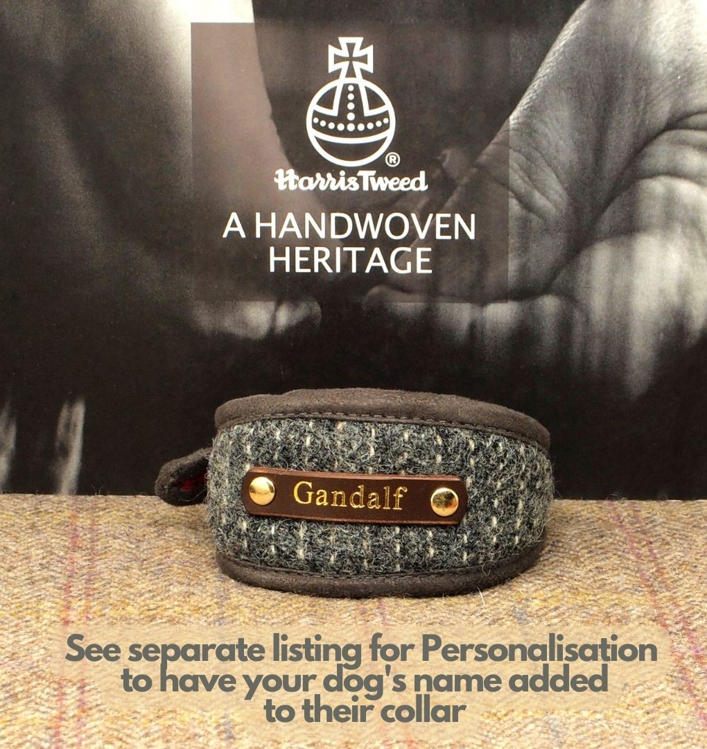 Harris Tweed Grey Pinstripe Greyhound Sighthound, Whippet Collar or standard fit Custom Dog collar.