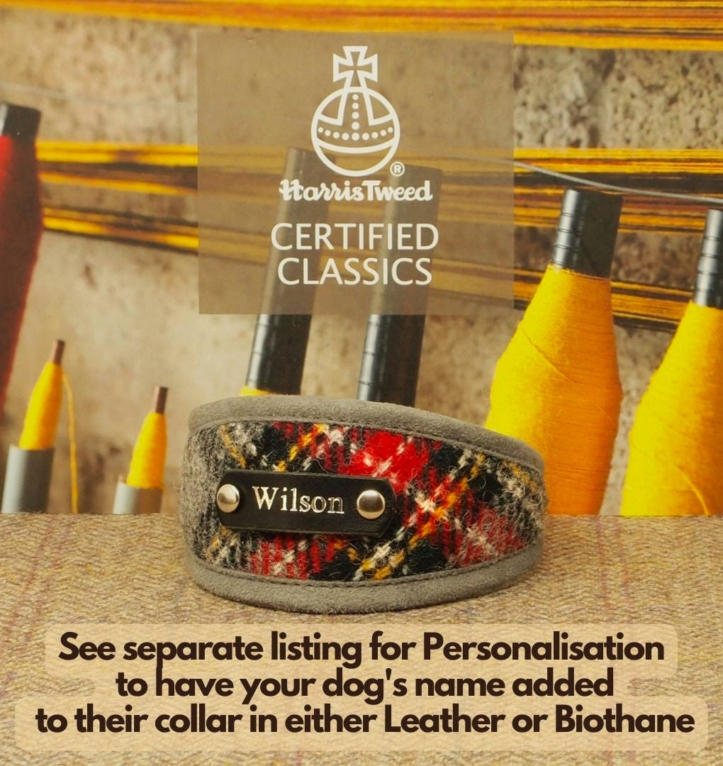Harris Tweed Grey Tartan Greyhound Sighthound, Whippet Collar or standard fit luxury Custom Dog collar.