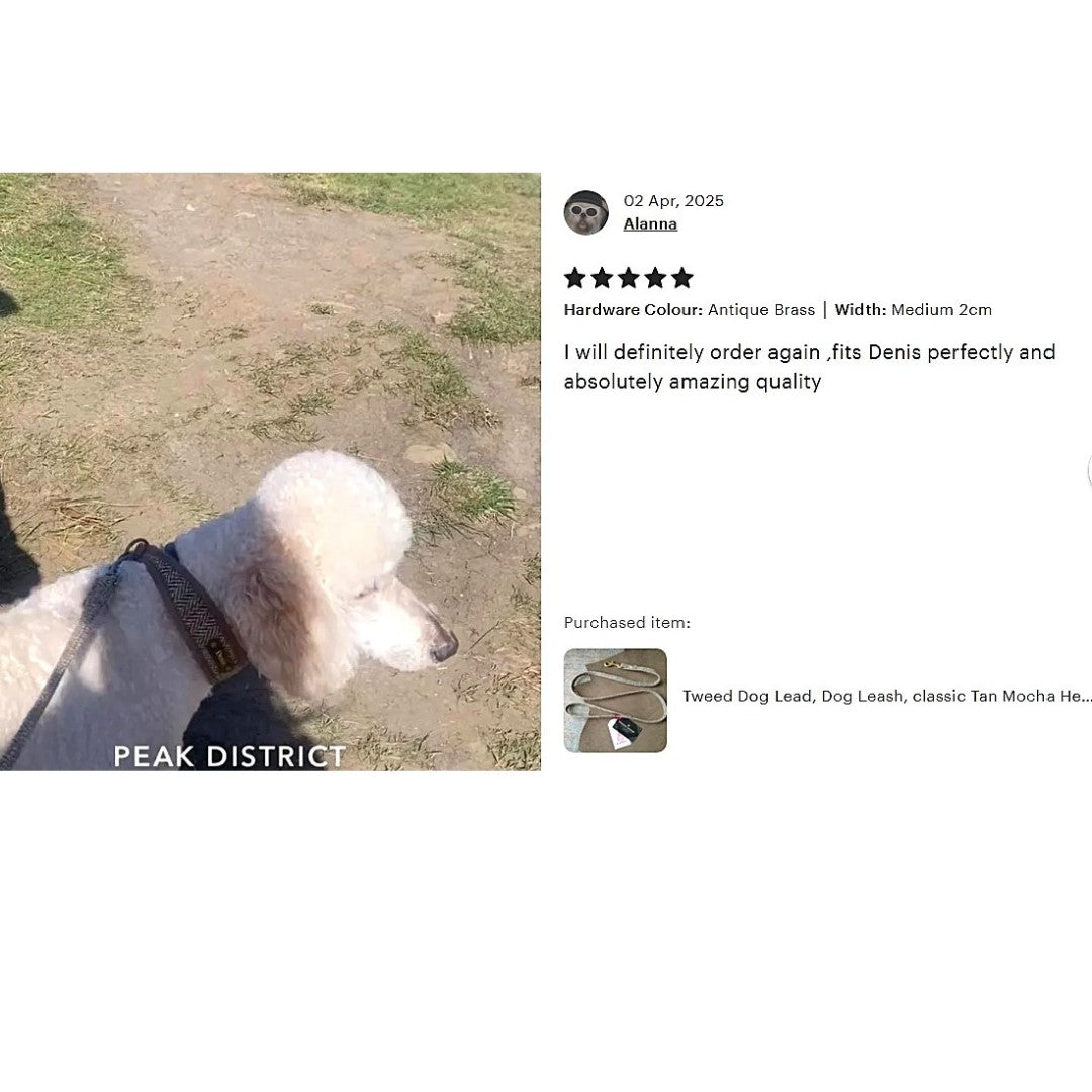 Harris Tweed Dog Lead Available in 35 &