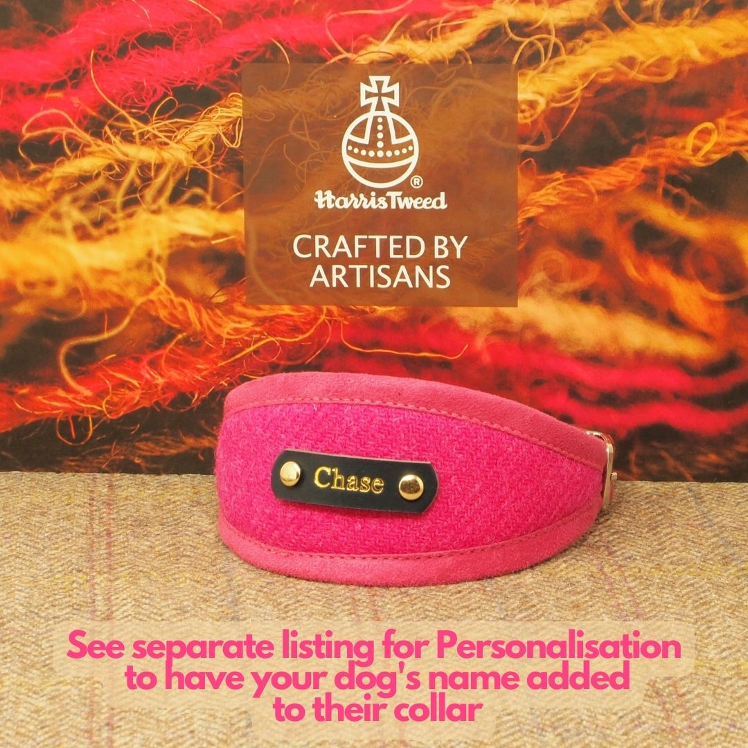 bright pink sighthound collar personalised with dogs name on
