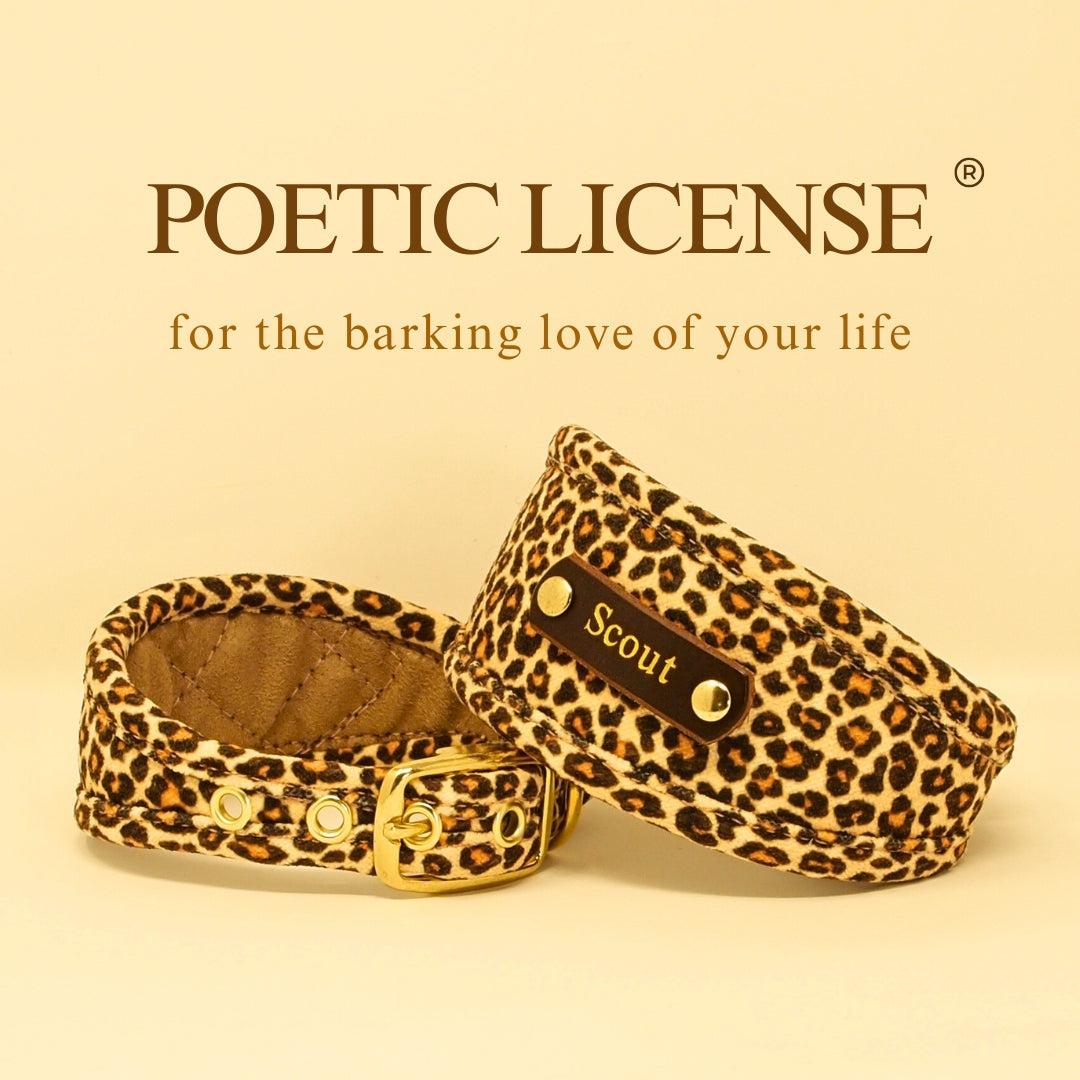 leopard print dog collar, whippet greyhound lurcher iggy wolfound. Vegan dog collar personalized with dogs name on