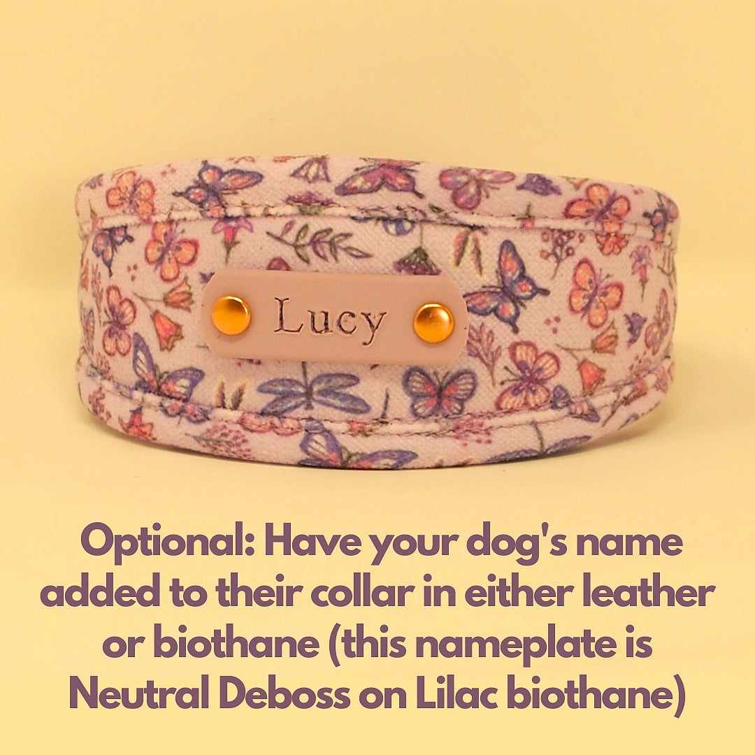 lilac purple vegan dog collar with butterflies and flowers, floral pretty dog collar