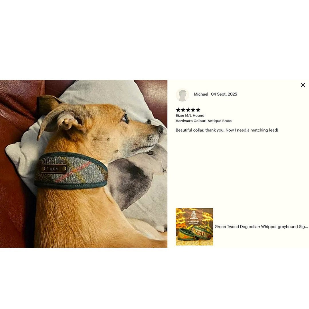 macleod green blue tartan greyhound whippet lurcher collar personalised custom with dogs name on