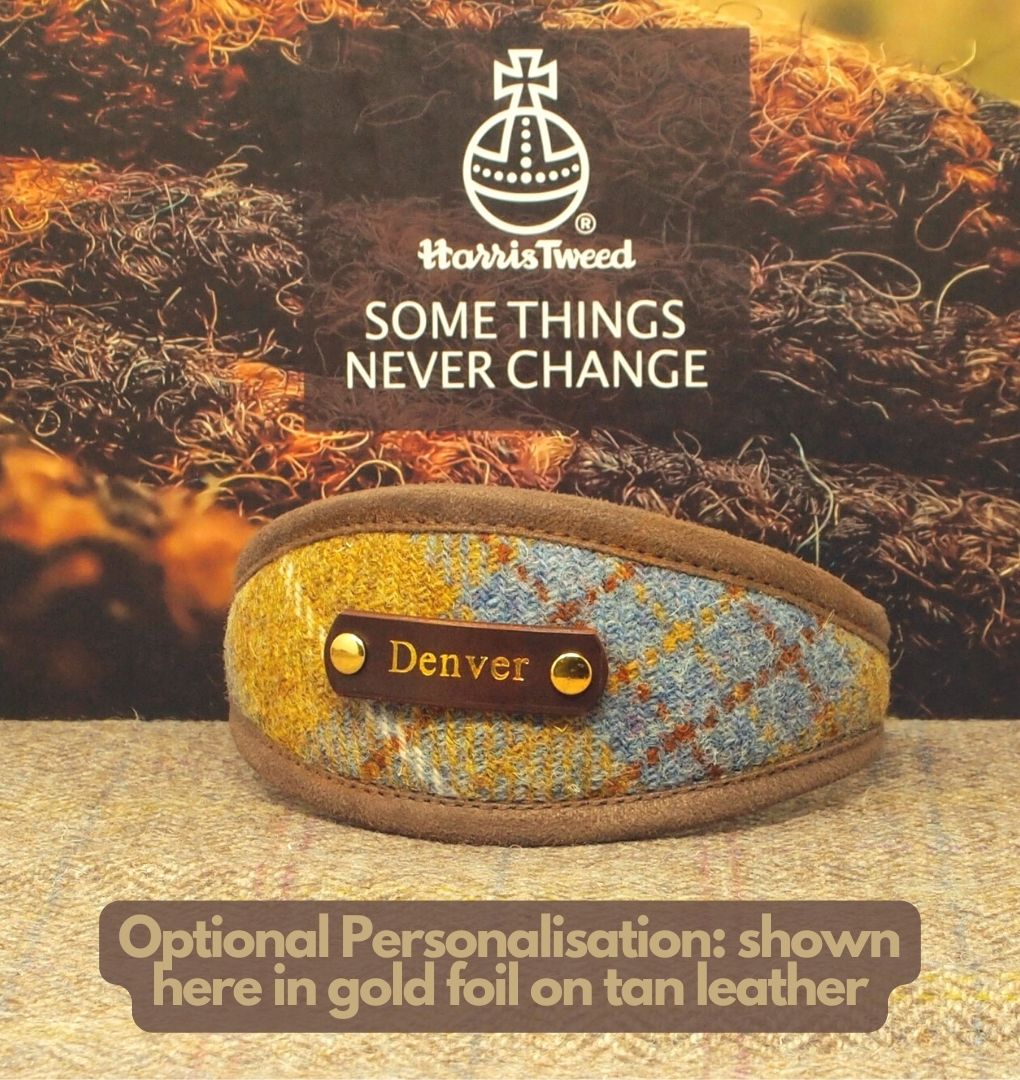 Harris Tweed Mustard & Blue Tartan Greyhound Collar or Slim fit luxury dog collar with Brown Edging and Lining