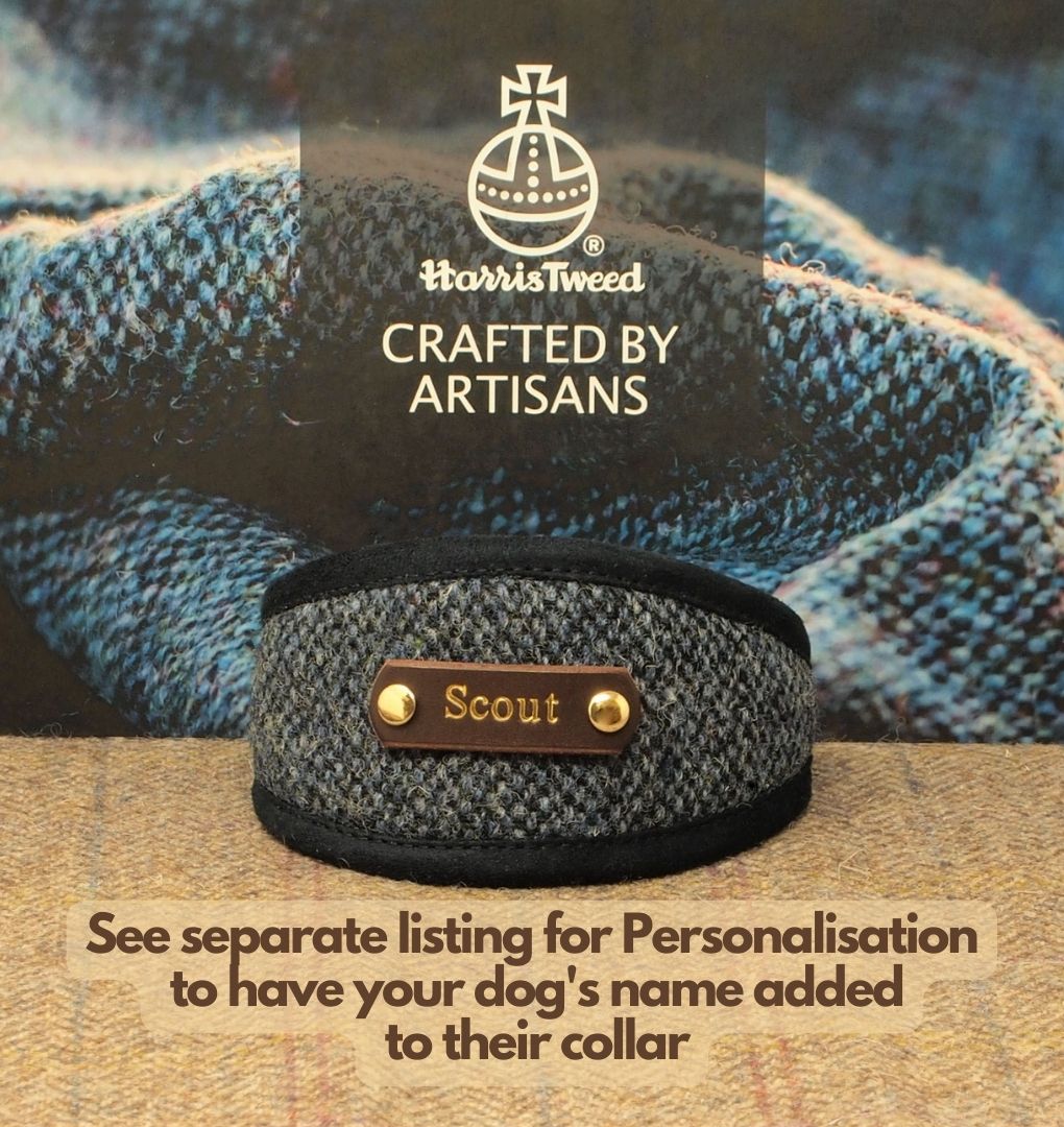 Harris Tweed Navy Blue Greyhound Sighthound, Whippet Collar or standard fit luxury Custom Dog collar