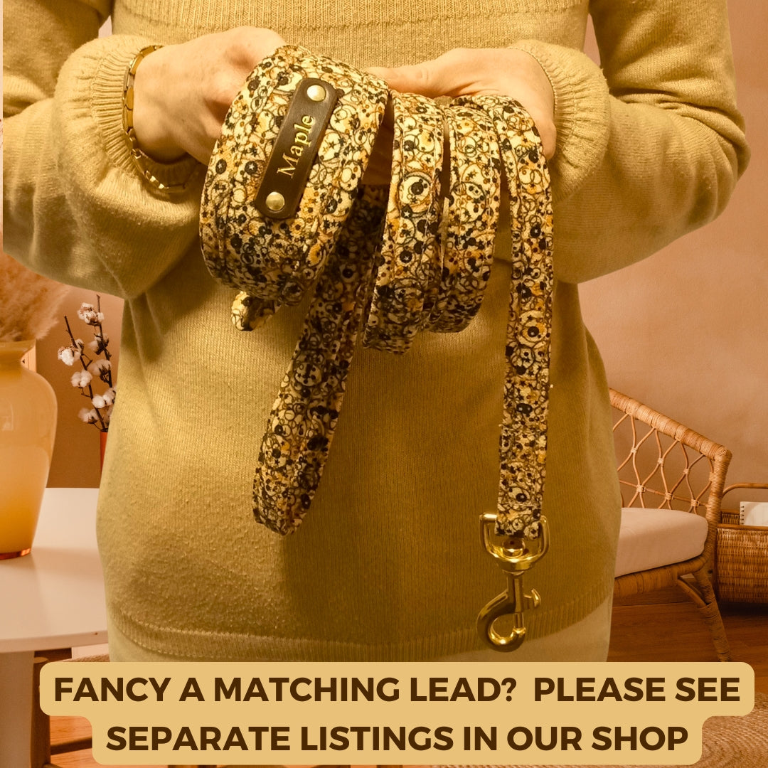 Mocha & Cream Custom Dog Collar with optional name personalisation.