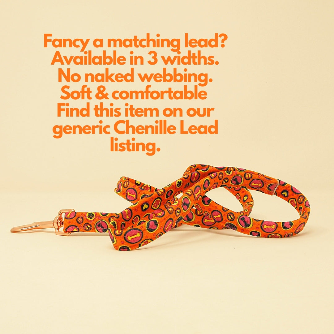 orange and pink dog lead