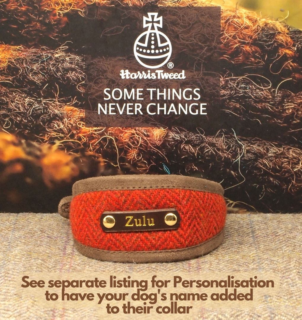 Burnt Orange Harris Tweed Dog Collar, Greyhound, Whippet. Can be personalised with name on the collar