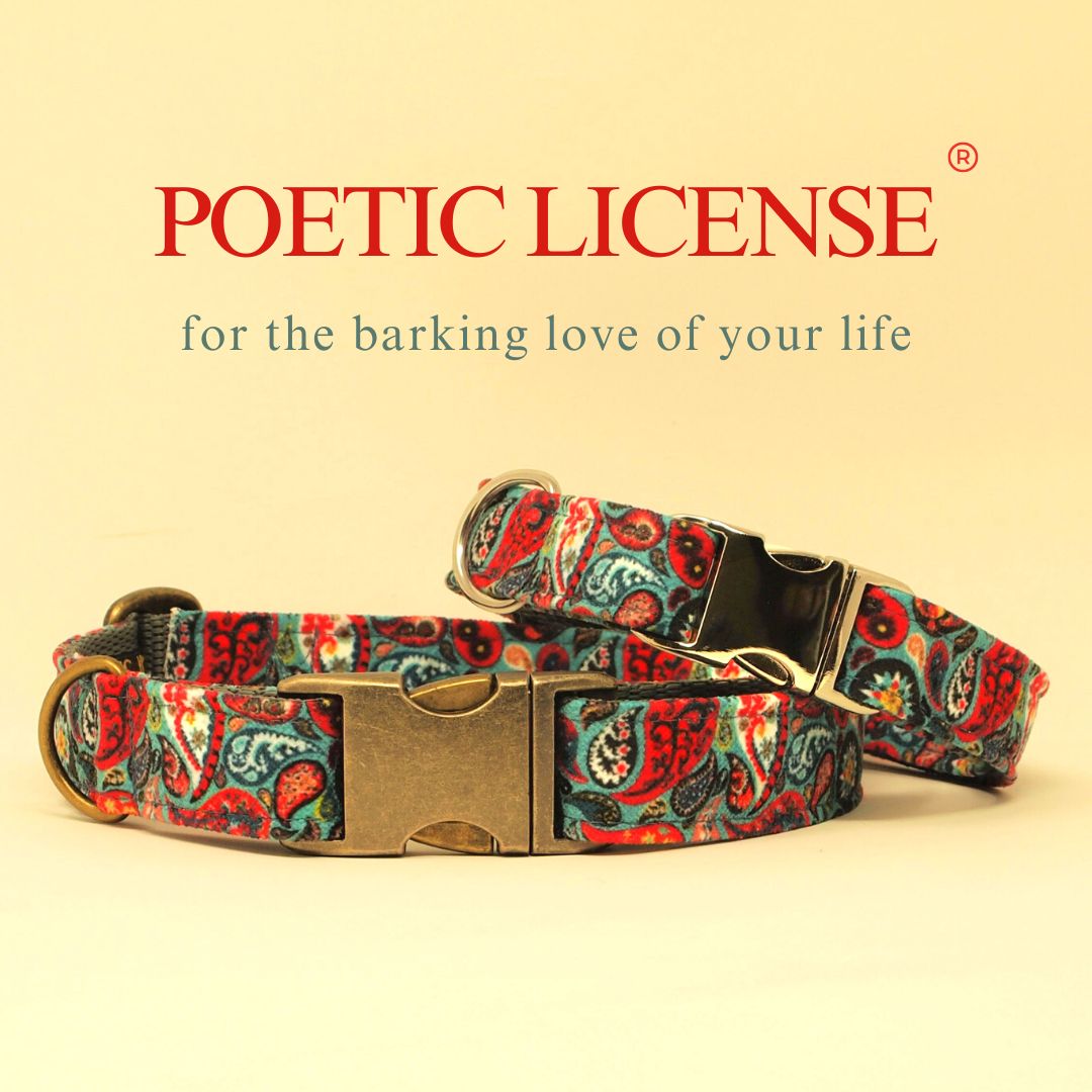 Luxe Chenille Standard Dog Collar in Teal Blue, Green & Red Paisley