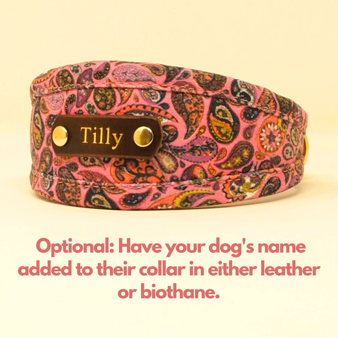 Custom Dog Collar in Pink Paisley, soft luxury, padded dog collar. Wider sighthound/whippet fit or slim fit house collar.