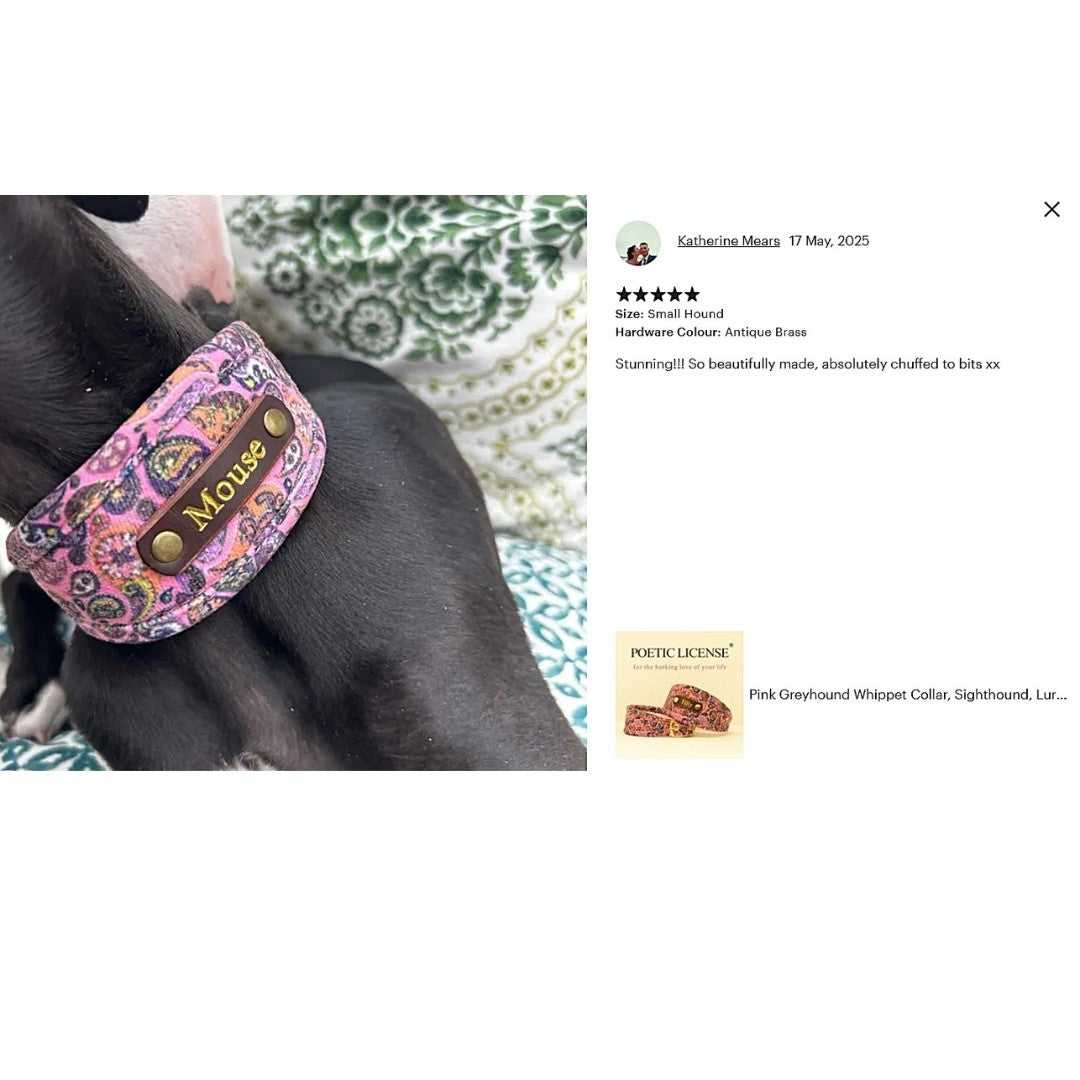 black dog in pink soft padded luxury vegan collar