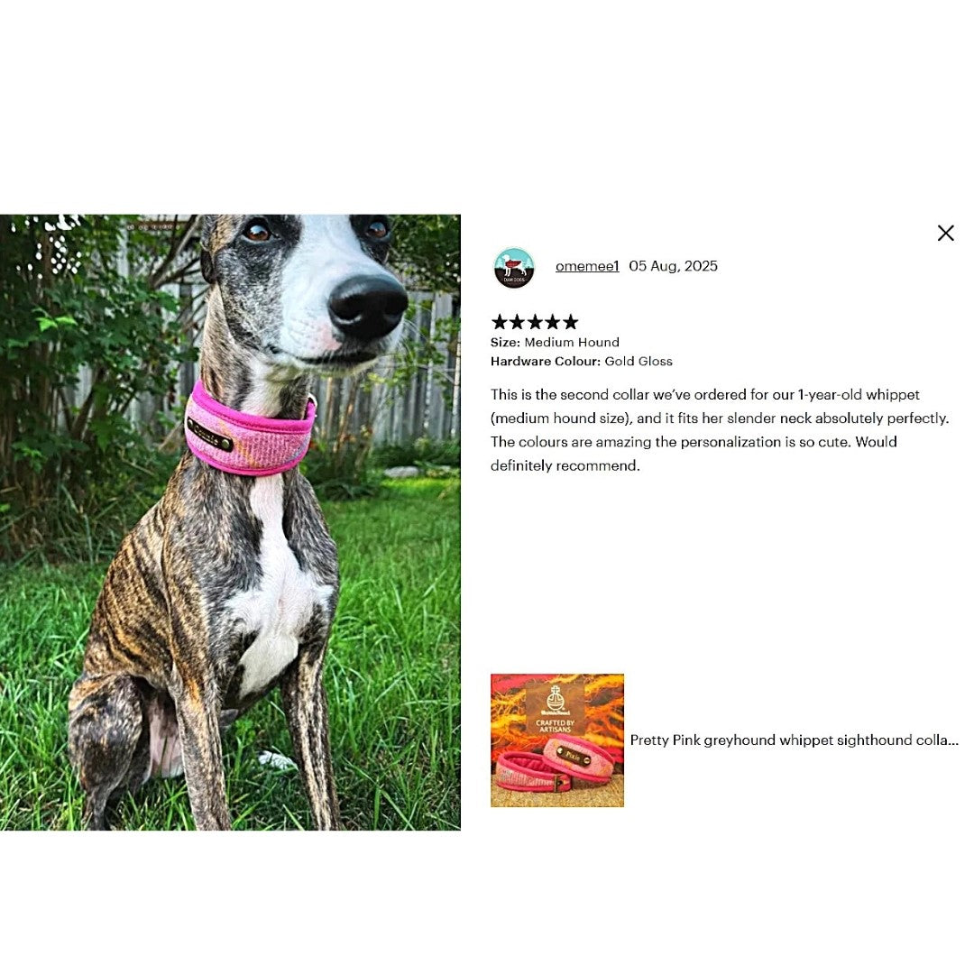 Custom Harris Tweed Pink Tartan Dog Collar or wider Greyhound, Whippet, Sighthound collar.