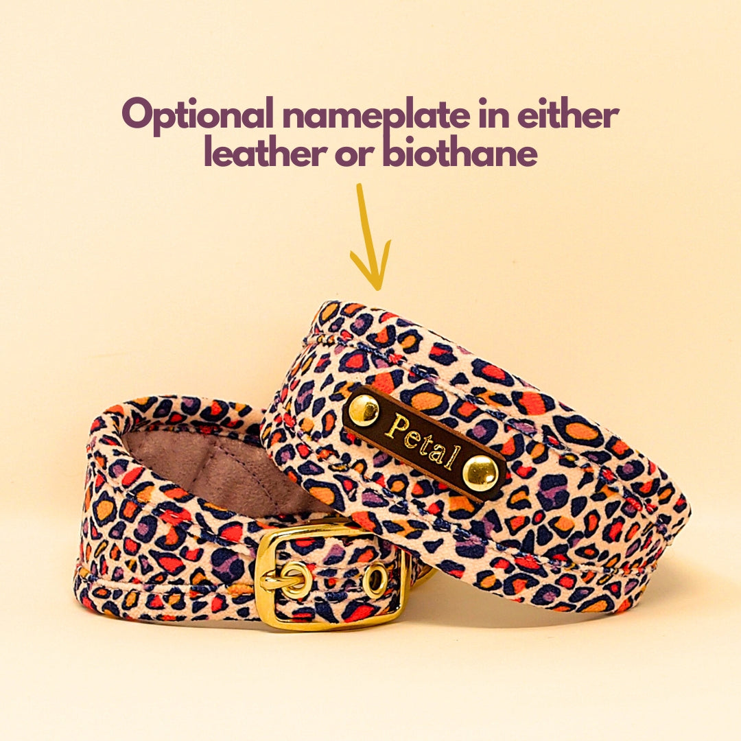 custom personalised sighthound collar with dogs name on collar