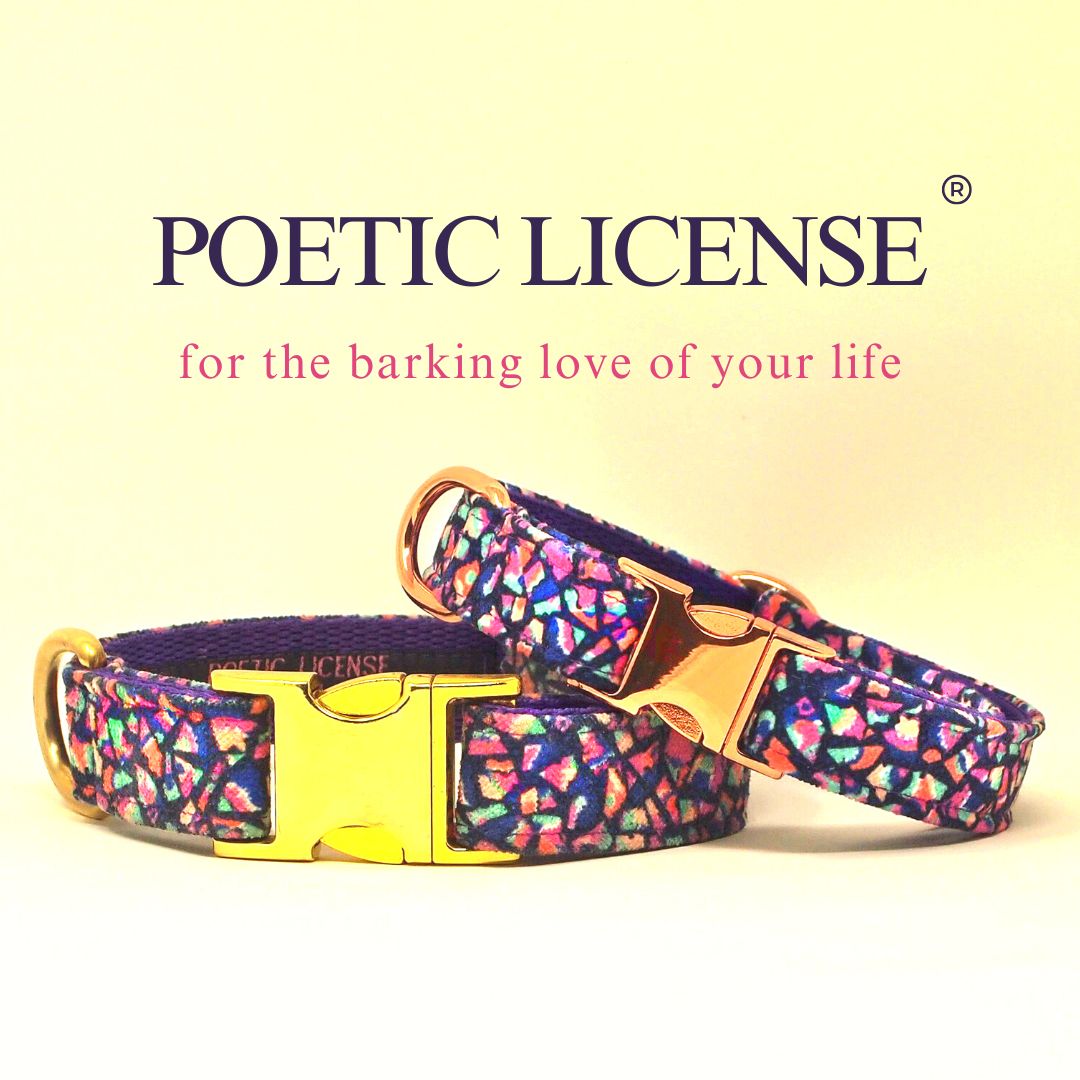 Luxe Chenille Standard Dog Collar in Purple Neon Mosaic
