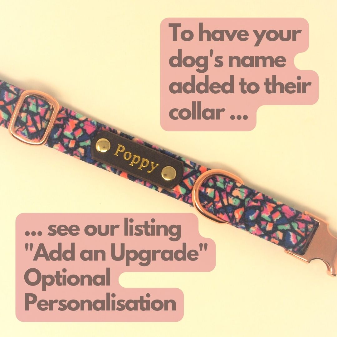 Luxe Chenille Standard Dog Collar in Purple Neon Mosaic