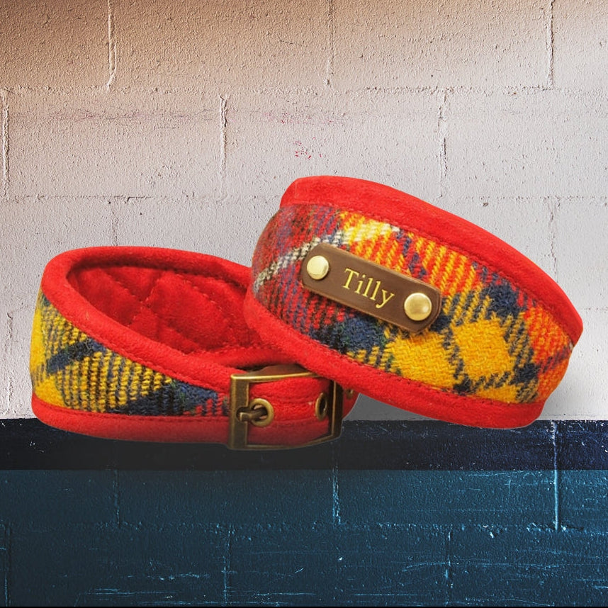 red yellow blue tartan plaid harris tweed dog collar buchanan tartan