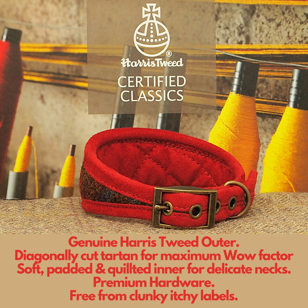 soft padded quilted red collar for dog with sensitive neckl