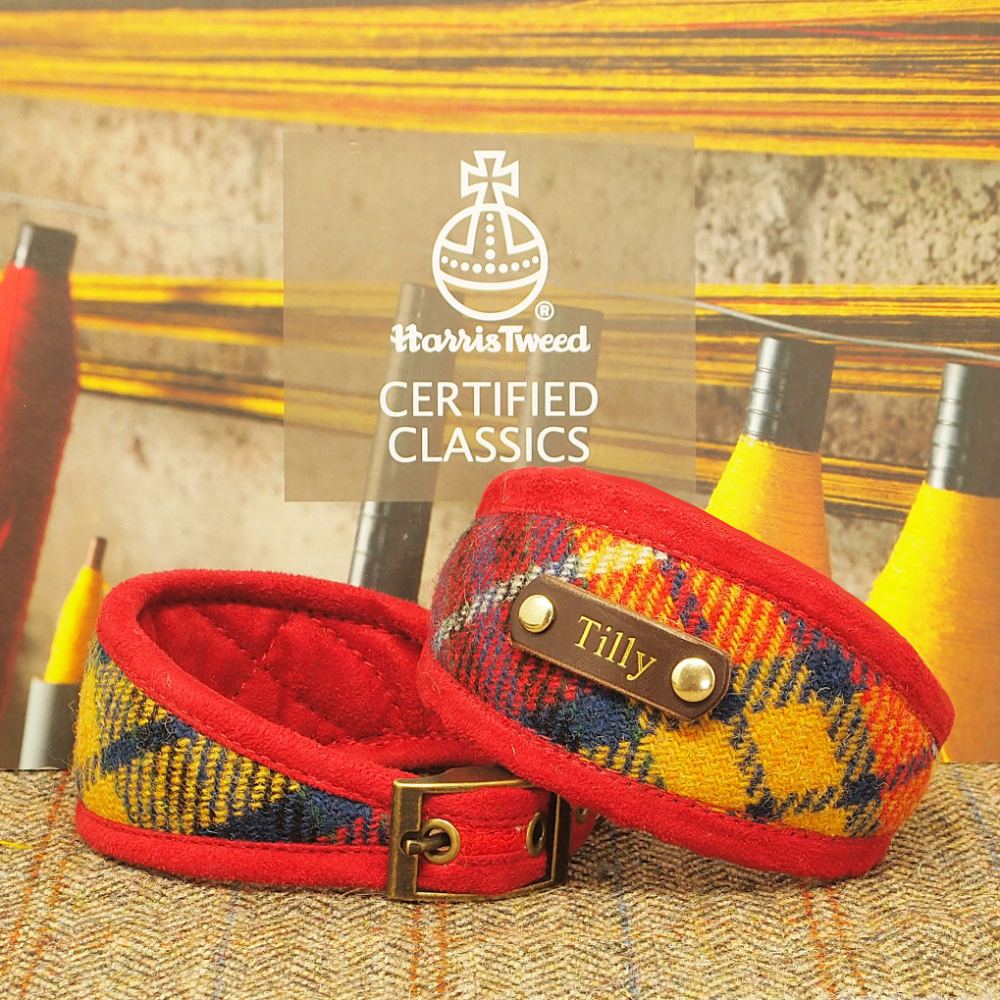 buchanan red yellow tartan dog collar
