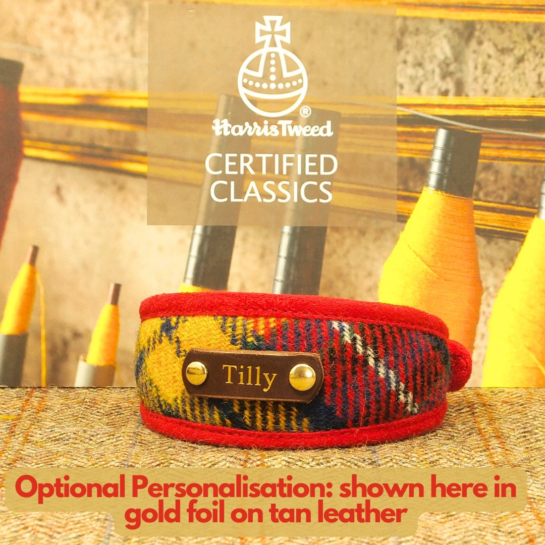 red harris tweed tartan personalised dog collar whippet greyhound sighthound with dogs name on