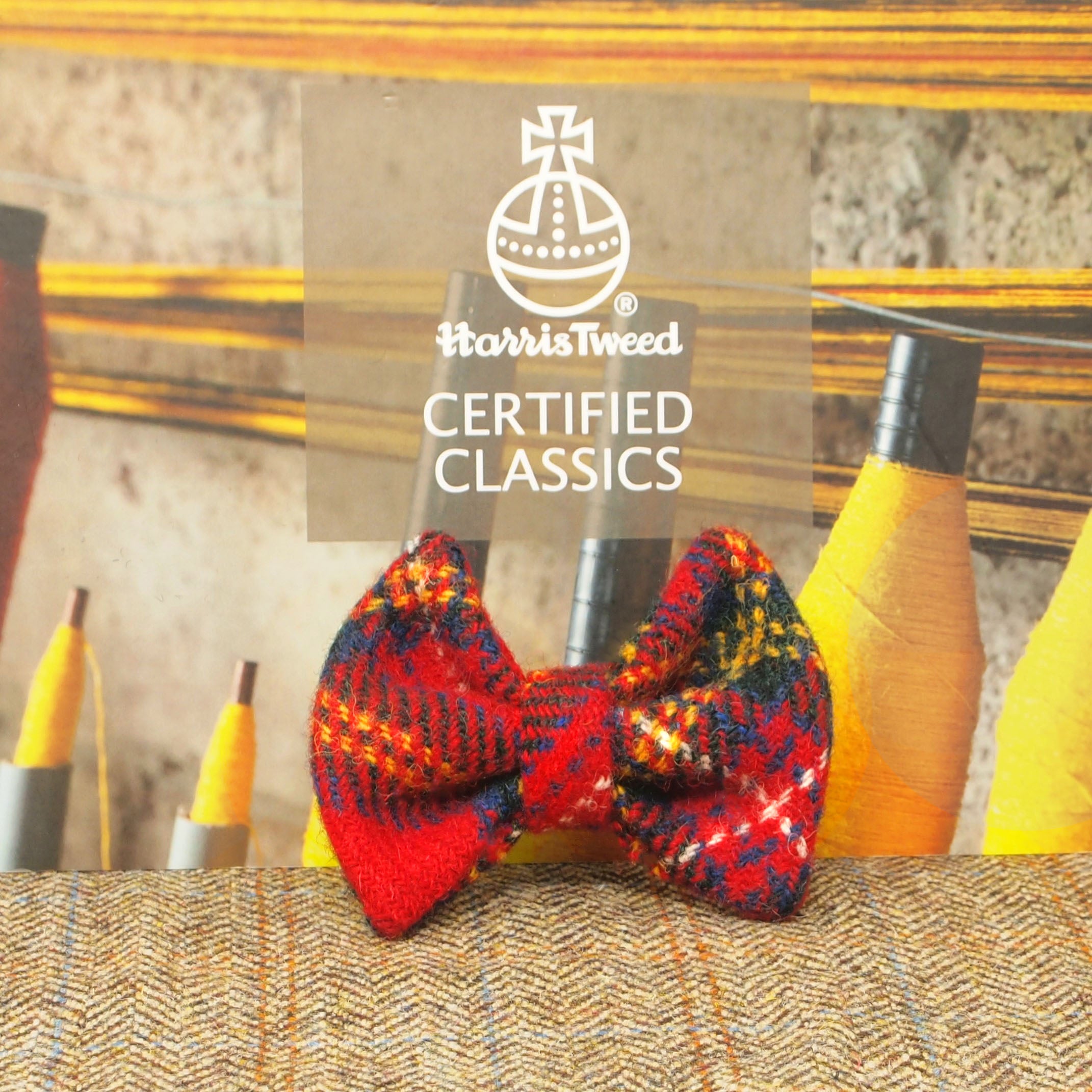 red blue yellow tartan dog bow tie harris tweed