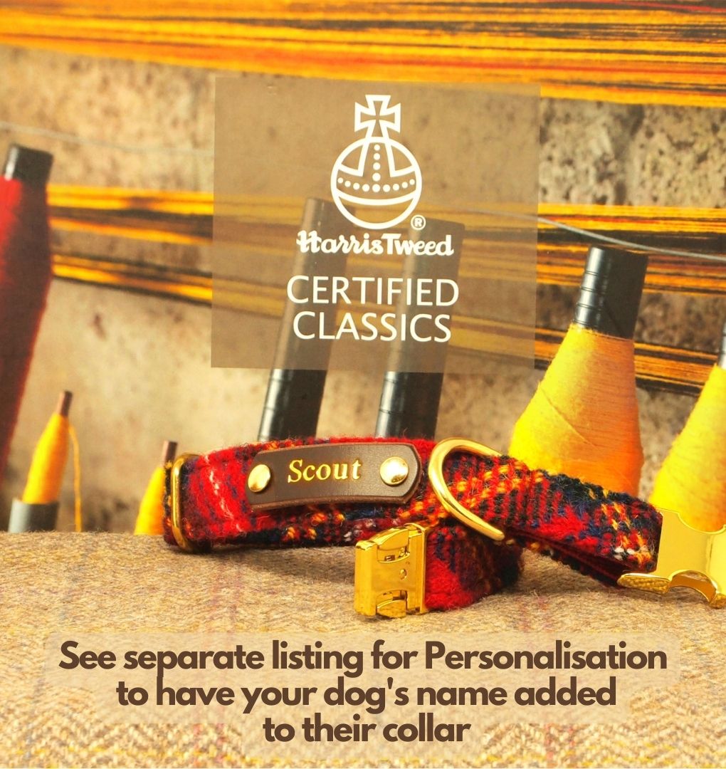 personalised red tartan genuine harris tweed dog collar with dogs name on