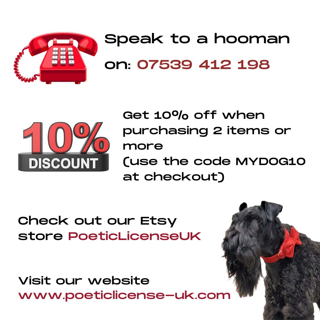 Mocha & Cream Custom Dog Collar with optional name personalisation.