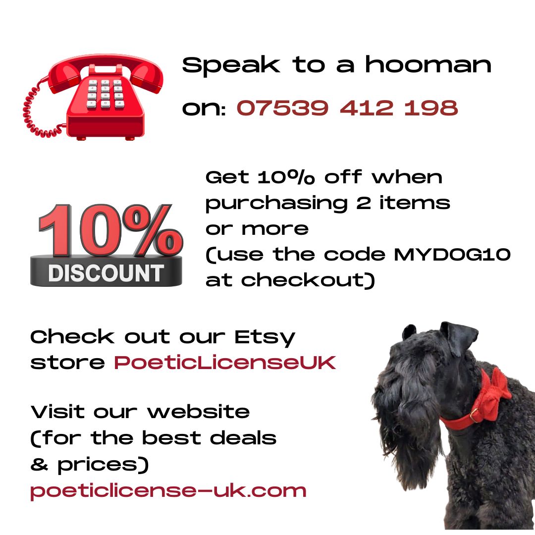 Vegan Chenille Dog Lead To Match All Our Chenille Collars, 3 Widths and 4 Hardware Colours