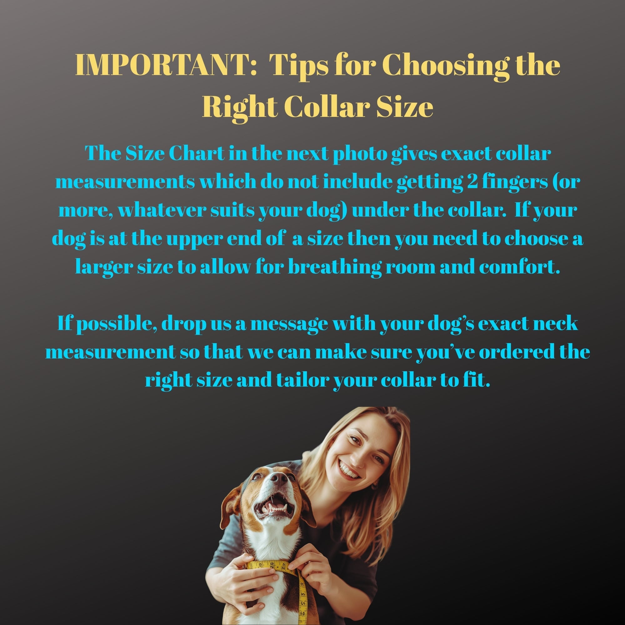 Blue Grey Chenille Vegan Dog Collar in wider width or regular slim fit.