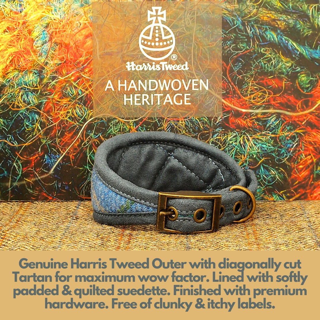 soft padded blue harris tweed sighthound collar for dogs with sensitive necks