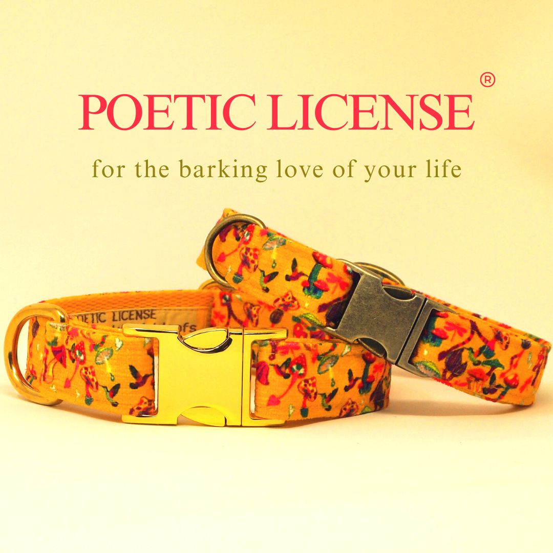 Luxe Chenille Standard Dog Collar in Yellow Mushrooms & Birds