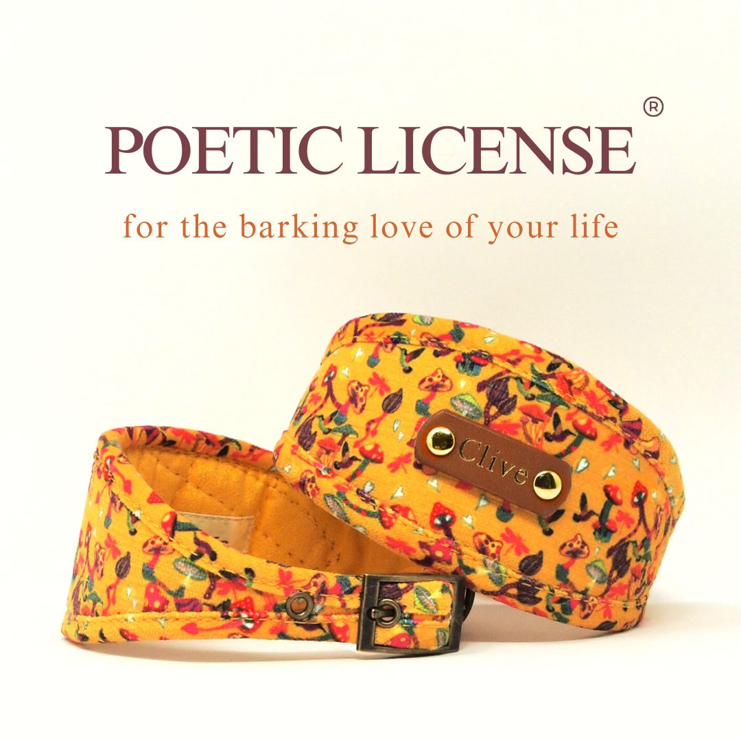 Luxe Chenille Hound Collar in Yellow Mushrooms