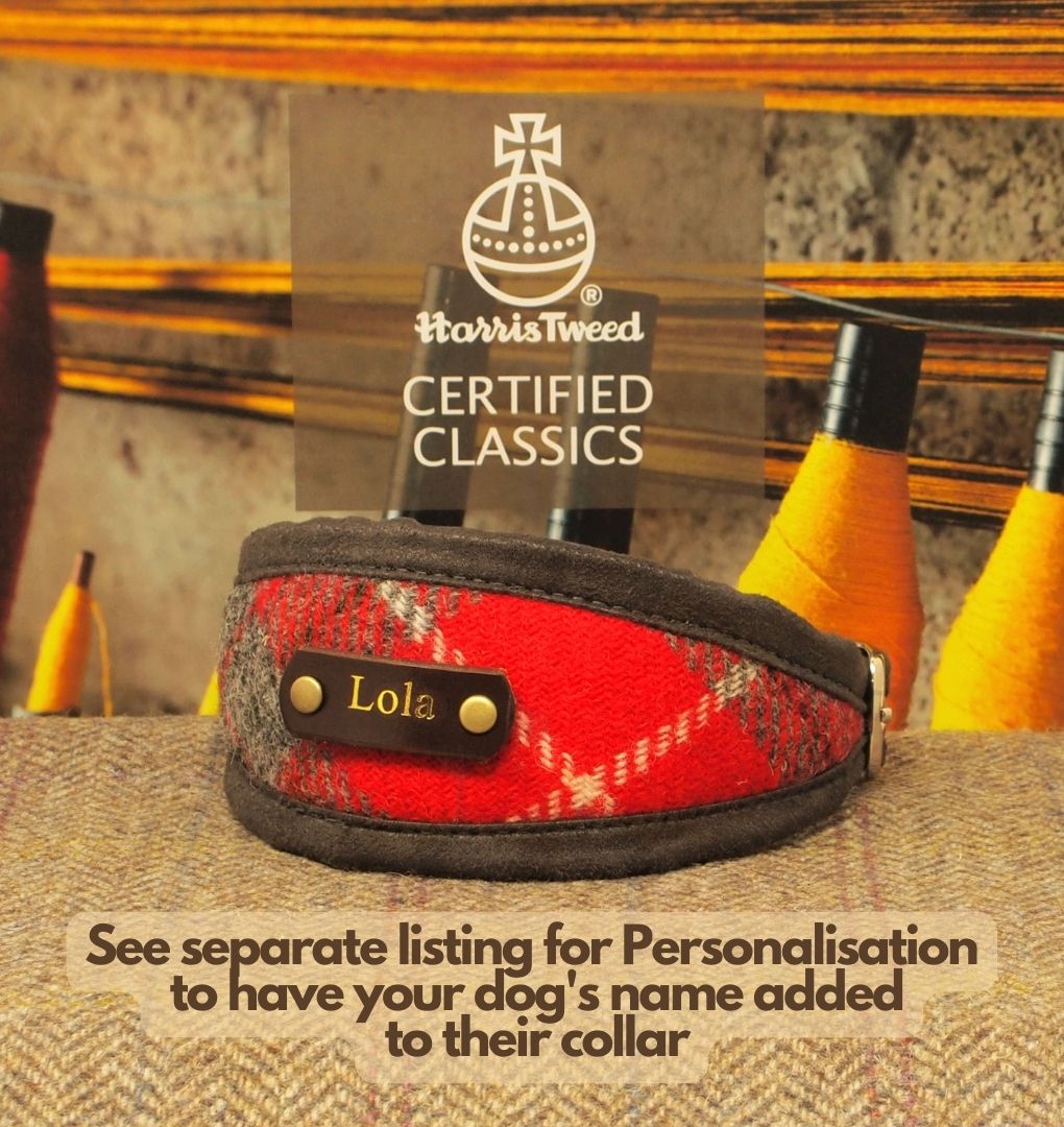 Custom Red & Grey Tartan Dog Collar in Genuine Harris Tweed.