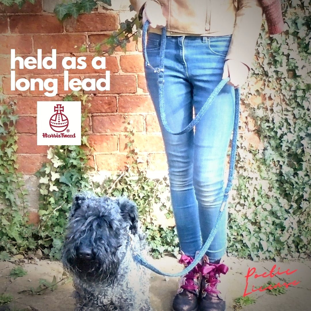 adjustable crossbody training lead in harris tweed