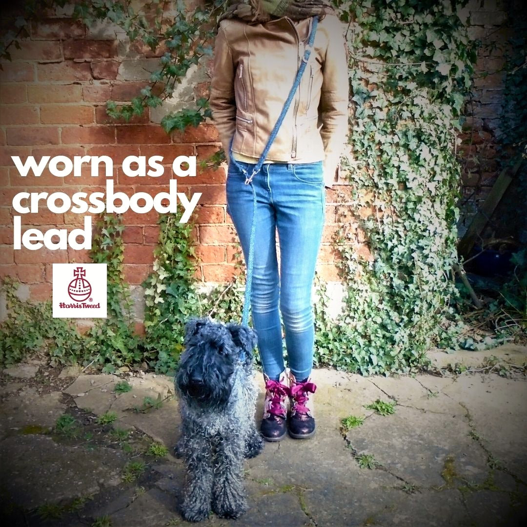 crossbody dog lead in harris tweed