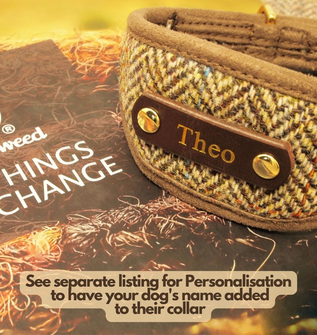 Tan Brown Mocha Herringbone Dog Collar, can be personalised with dog&
