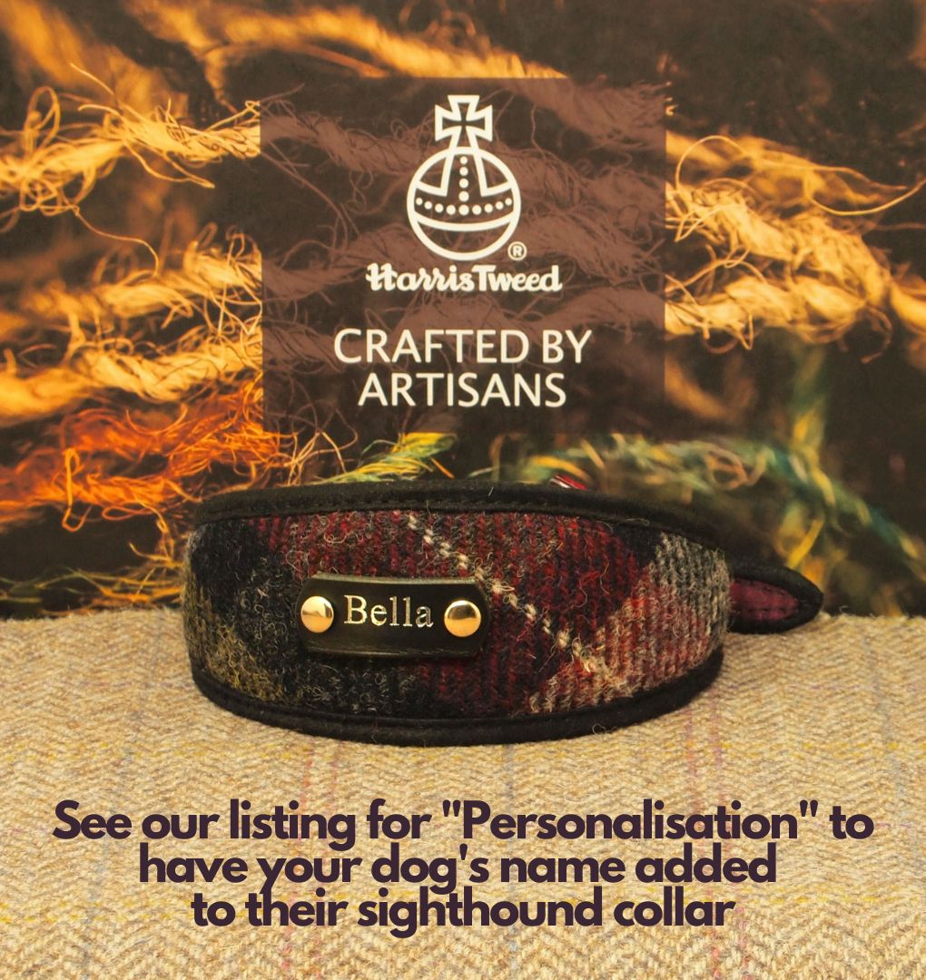 personalised tartan sighthound collar with dogs name on