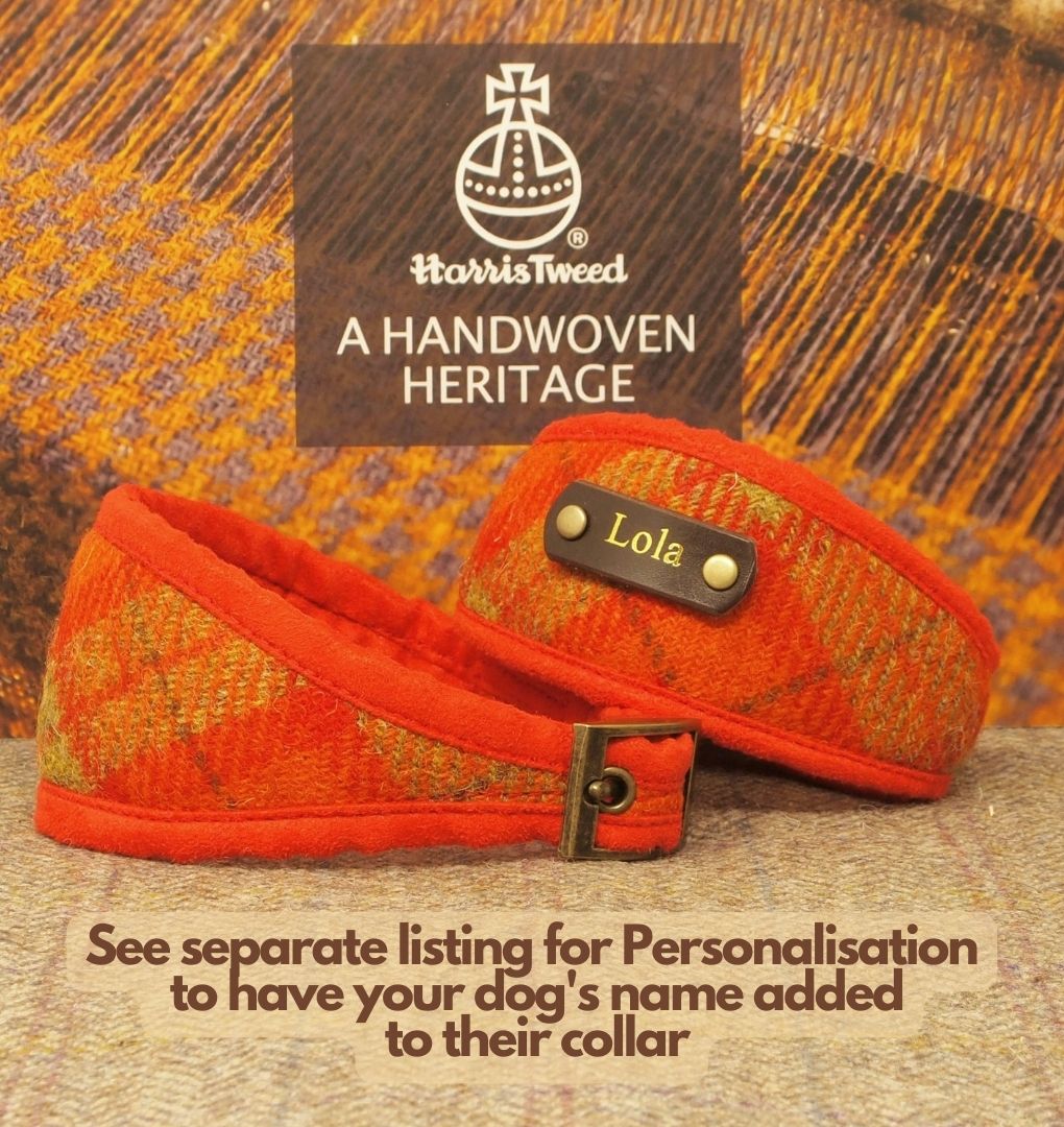 Harris Tweed Orange Tartan Custom Dog Collar, optional to be personalized with dog&
