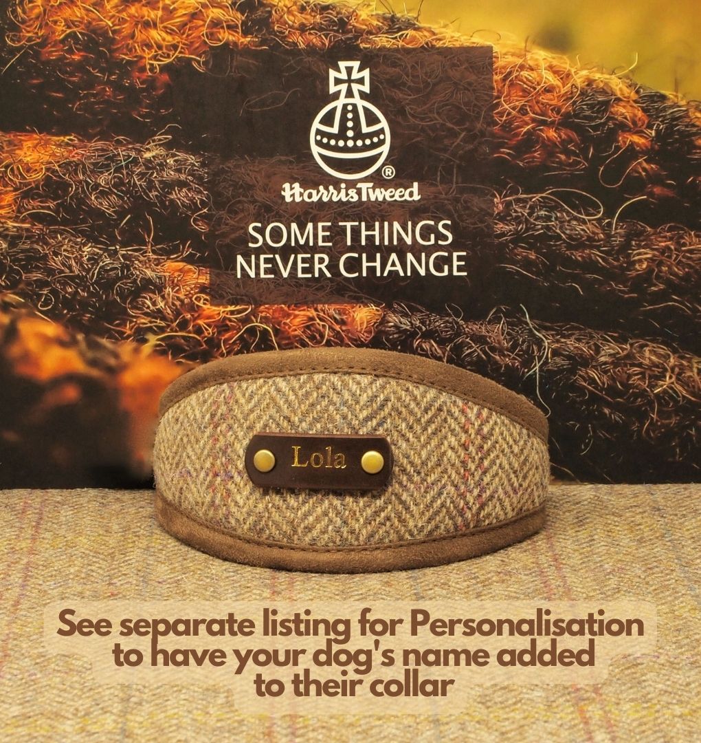 Harris Tweed Oatmeal Mocha Herringbone Dog Collar or Luxury Greyhound, Sighthound collar.