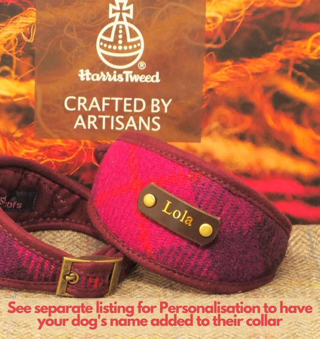 purple tartan harris tweed personalised greyhound sighthound whippet saluki collar with dogs name on